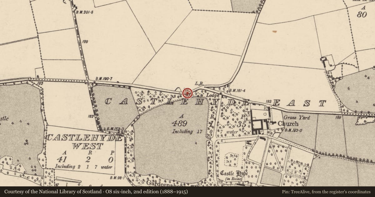 Ordnance Survey six-inch map, 2nd edition (1888–1915) covering the location of Boundary stone, Castlehyde East, County Cork, with a pin at the register's coordinates