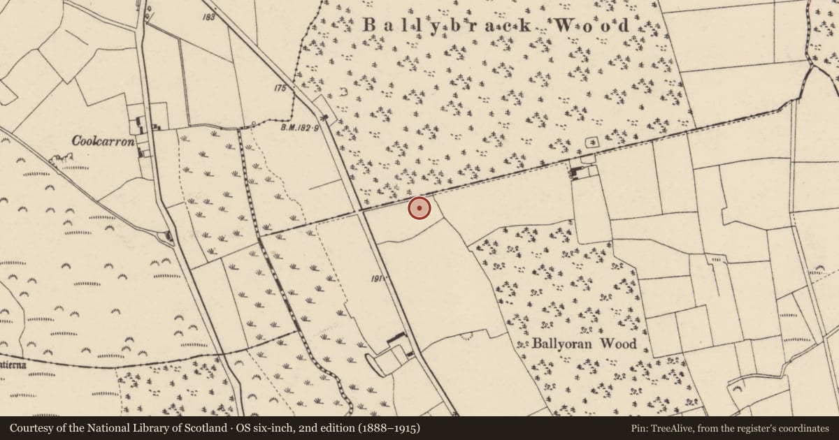 Ordnance Survey six-inch map, 2nd edition (1888–1915) covering the location of Fulacht fia, Ballyoran, County Cork, with a pin at the register's coordinates