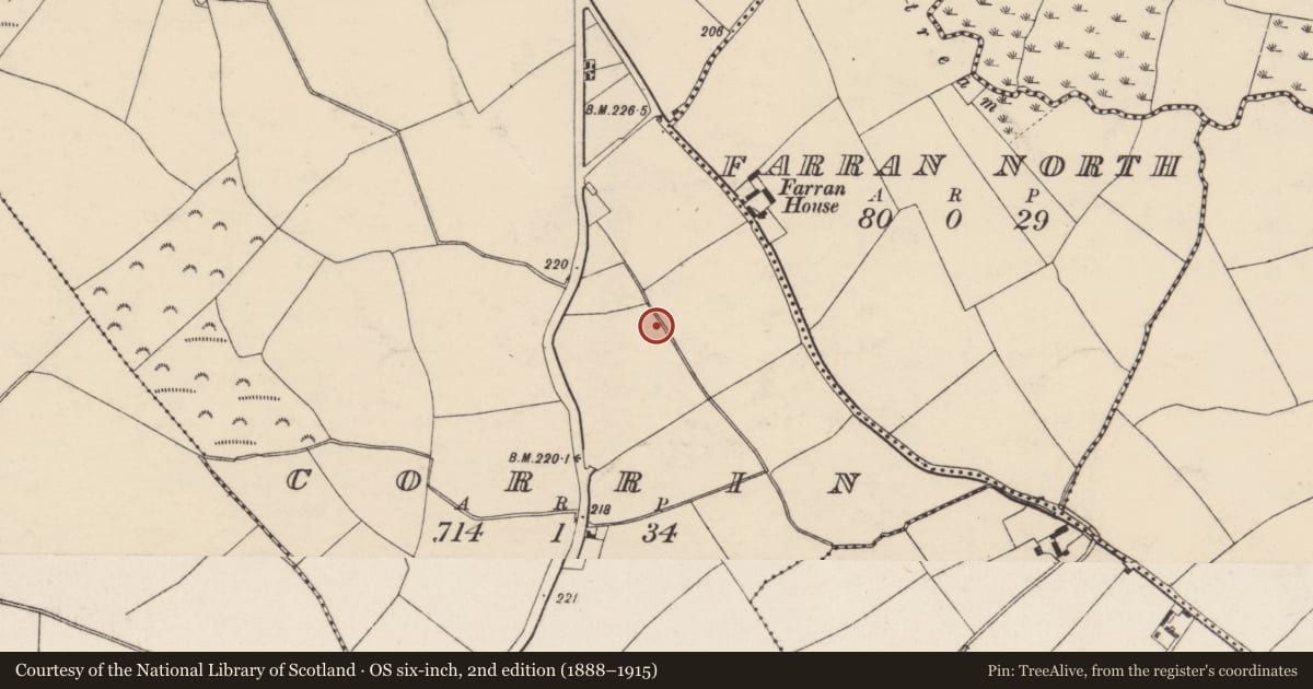 Ordnance Survey six-inch map, 2nd edition (1888–1915) covering the location of Fulacht fia, Corrin, County Cork, with a pin at the register's coordinates