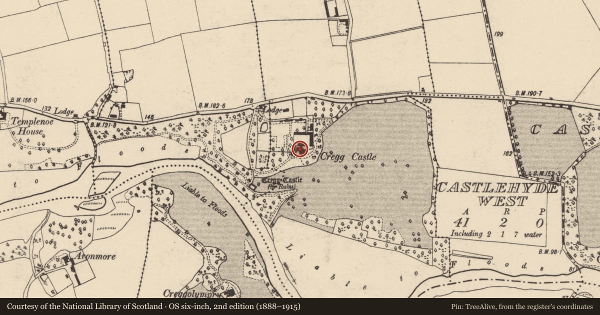 Ordnance Survey six-inch map, 2nd edition (1888–1915) covering the location of Country house, Creggolympry North, County Cork, with a pin at the register's coordinates