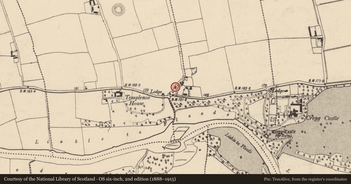 Ordnance Survey six-inch map, 2nd edition (1888–1915) covering the location of Settlement deserted - medieval, Templenoe, County Cork, with a pin at the register's coordinates
