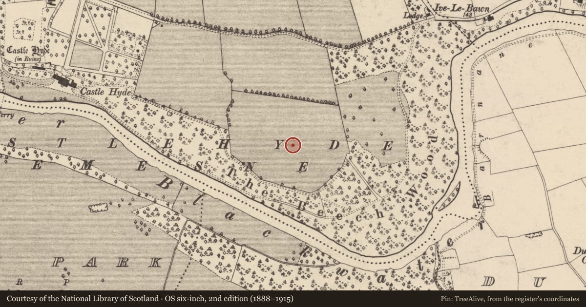 Ordnance Survey six-inch map, 2nd edition (1888–1915) covering the location of Prehistoric site - lithic scatter, Castlehyde East, County Cork, with a pin at the register's coordinates