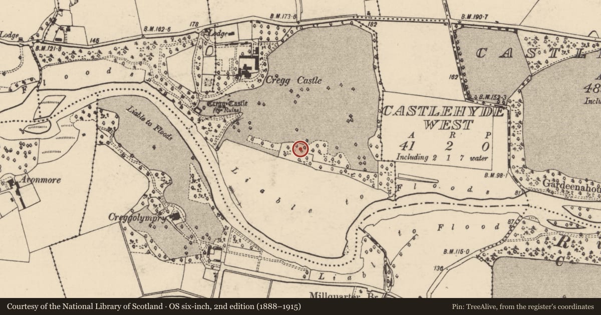 Ordnance Survey six-inch map, 2nd edition (1888–1915) covering the location of Ritual site - holy well, Creggolympry North, County Cork, with a pin at the register's coordinates