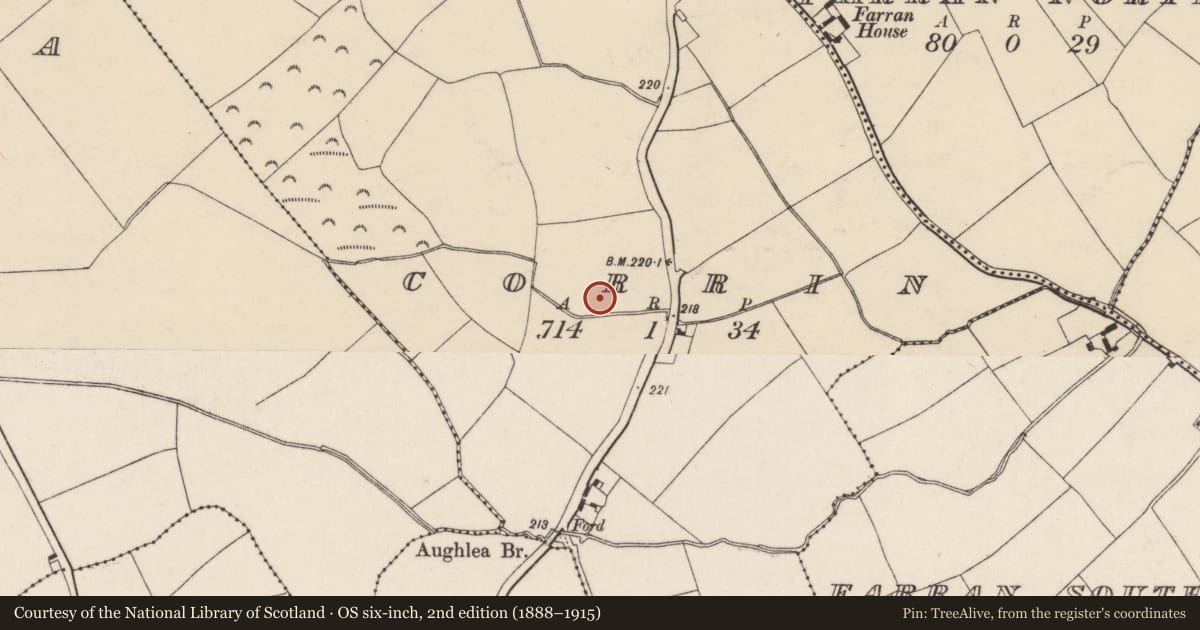 Ordnance Survey six-inch map, 2nd edition (1888–1915) covering the location of Fulacht fia, Corrin, County Cork, with a pin at the register's coordinates