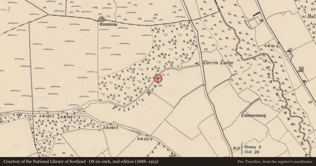 Ordnance Survey six-inch map, 2nd edition (1888–1915) covering the location of Ritual site - holy well, Corrin, County Cork, with a pin at the register's coordinates