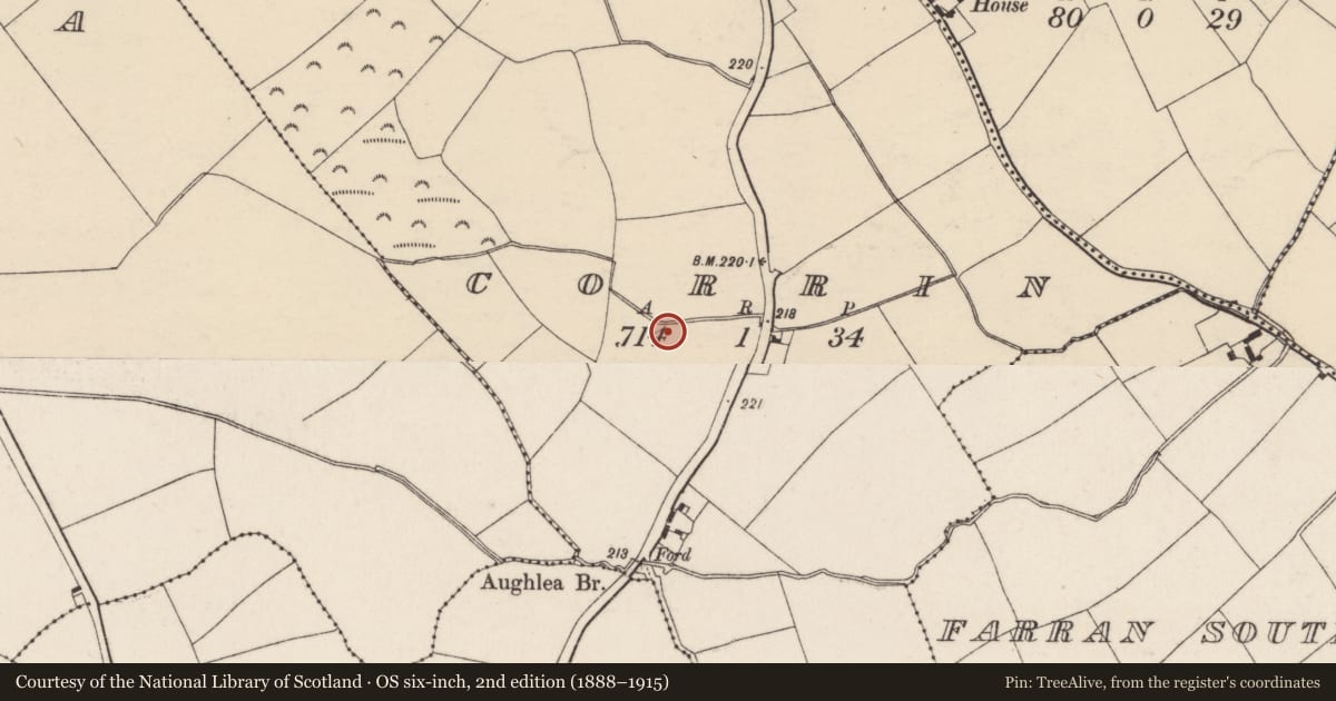 Ordnance Survey six-inch map, 2nd edition (1888–1915) covering the location of Fulacht fia, Corrin, County Cork, with a pin at the register's coordinates