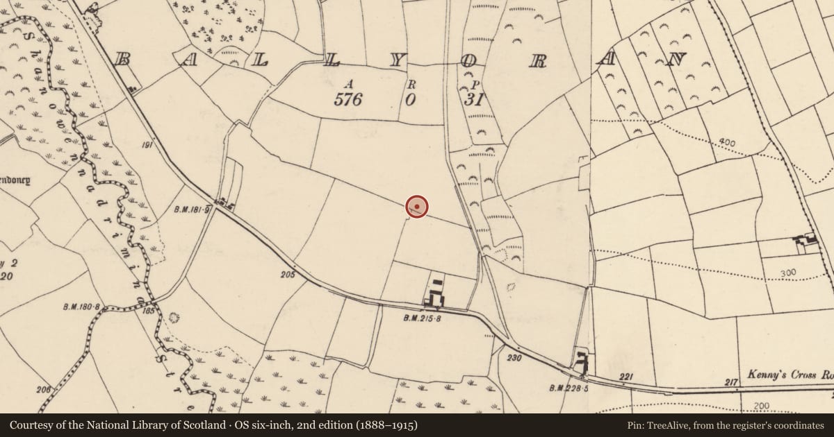 Ordnance Survey six-inch map, 2nd edition (1888–1915) covering the location of Fulacht fia, Ballyoran, County Cork, with a pin at the register's coordinates