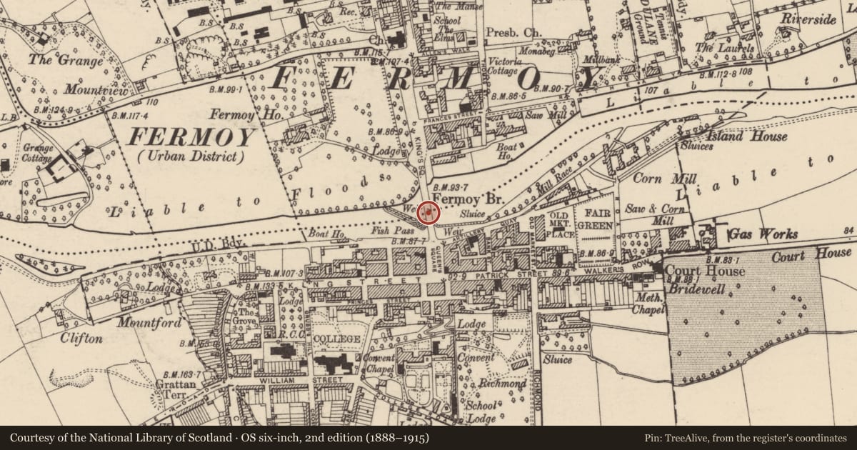 Ordnance Survey six-inch map, 2nd edition (1888–1915) covering the location of Bridge, Fermoy, County Cork, with a pin at the register's coordinates
