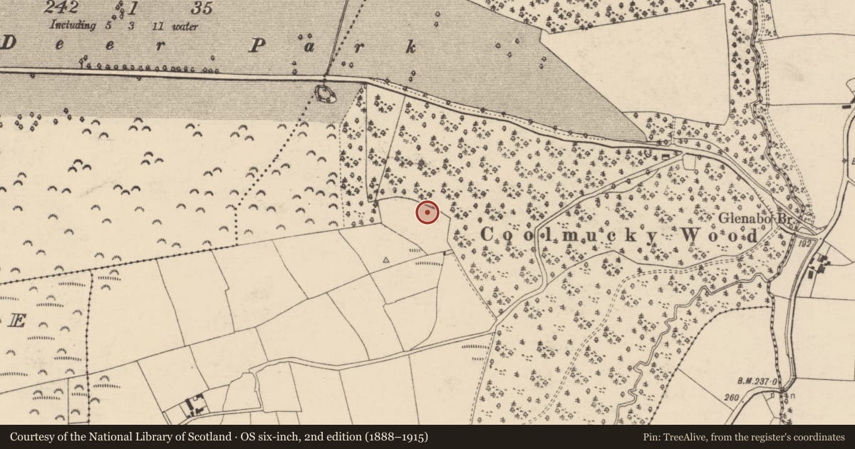Ordnance Survey six-inch map, 2nd edition (1888–1915) covering the location of Souterrain, Coolmucky (Condons and Clongibbon By., Fermoy Par.), County Cork, with a pin at the register's coordinates