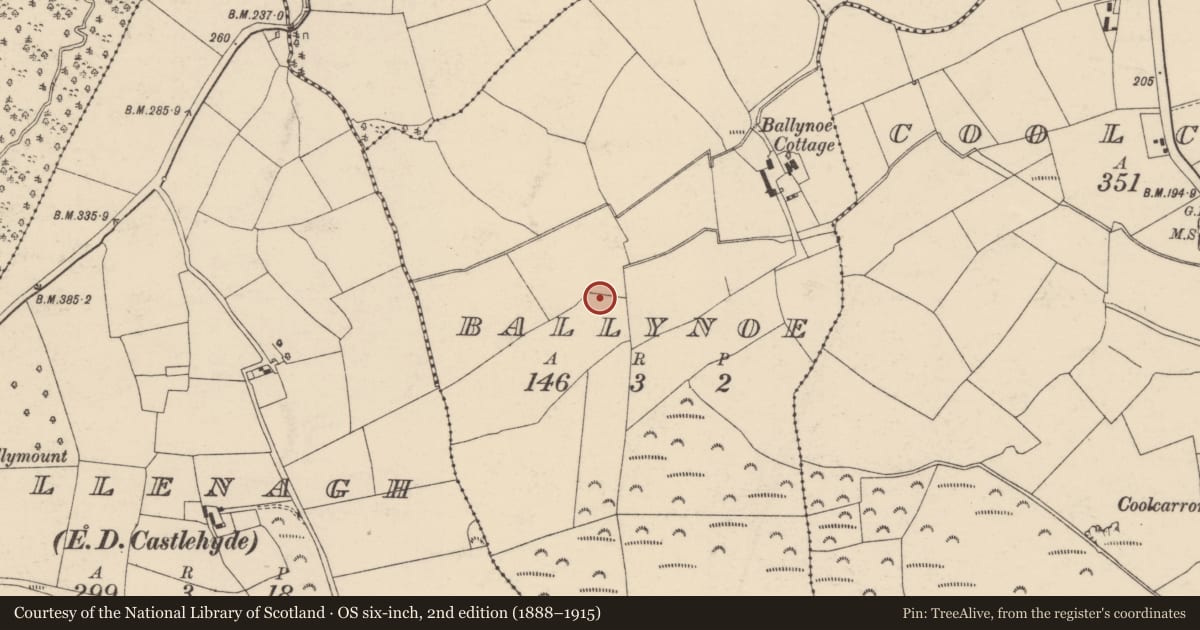 Ordnance Survey six-inch map, 2nd edition (1888–1915) covering the location of Fulacht fia, Ballynoe, County Cork, with a pin at the register's coordinates