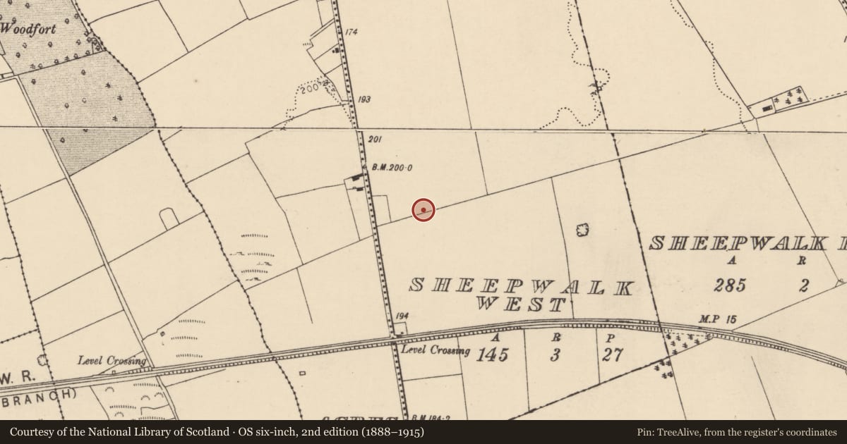 Ordnance Survey six-inch map, 2nd edition (1888–1915) covering the location of Enclosure, Sheepwalk West, County Cork, with a pin at the register's coordinates