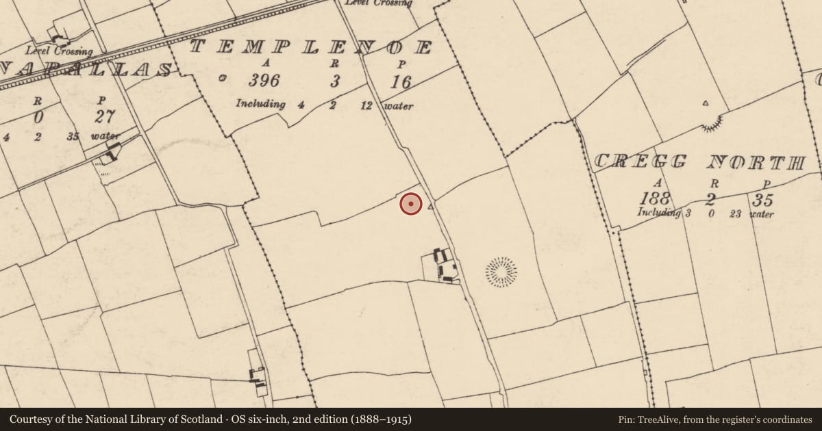Ordnance Survey six-inch map, 2nd edition (1888–1915) covering the location of Enclosure, Templenoe, County Cork, with a pin at the register's coordinates