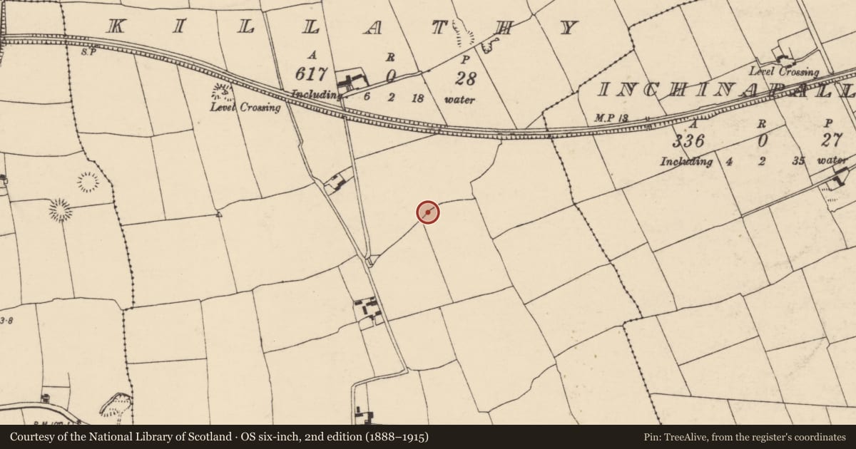 Ordnance Survey six-inch map, 2nd edition (1888–1915) covering the location of Enclosure, Killathy, County Cork, with a pin at the register's coordinates