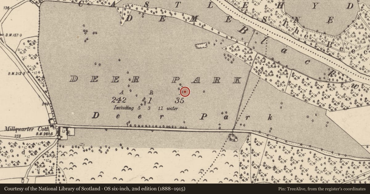 Ordnance Survey six-inch map, 2nd edition (1888–1915) covering the location of Enclosure, Deer Park, County Cork, with a pin at the register's coordinates