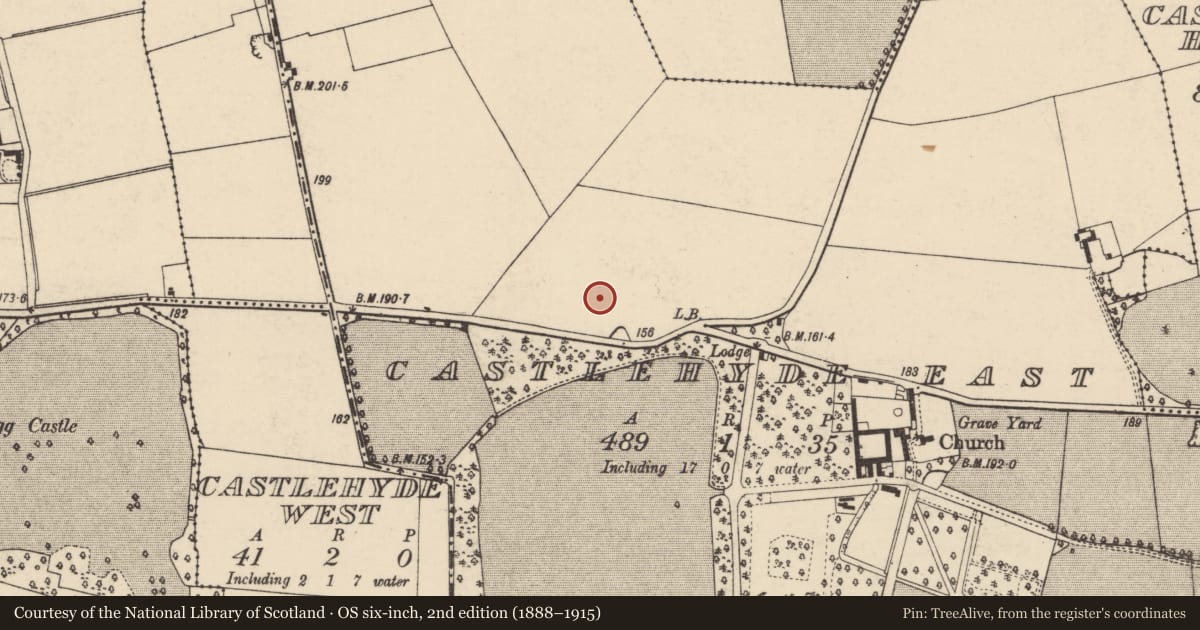 Ordnance Survey six-inch map, 2nd edition (1888–1915) covering the location of Ring-ditch, Castlehyde East, County Cork, with a pin at the register's coordinates