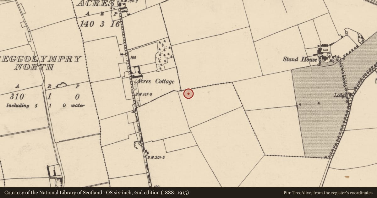 Ordnance Survey six-inch map, 2nd edition (1888–1915) covering the location of Ringfort - rath, Castlehyde East, County Cork, with a pin at the register's coordinates