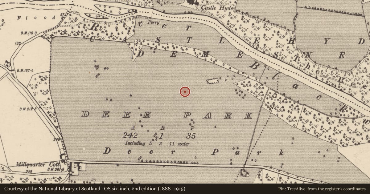 Ordnance Survey six-inch map, 2nd edition (1888–1915) covering the location of Ring-ditch, Deer Park, County Cork, with a pin at the register's coordinates