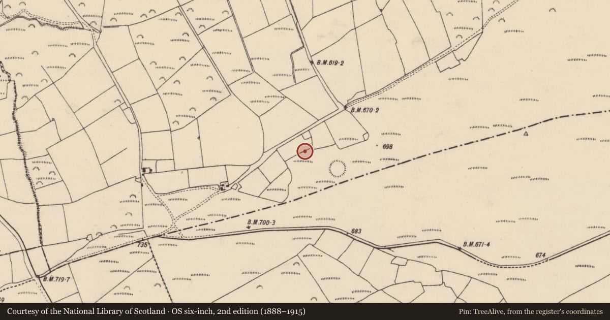 Ordnance Survey six-inch map, 2nd edition (1888–1915) covering the location of Mass-rock, Knockananig, County Cork, with a pin at the register's coordinates
