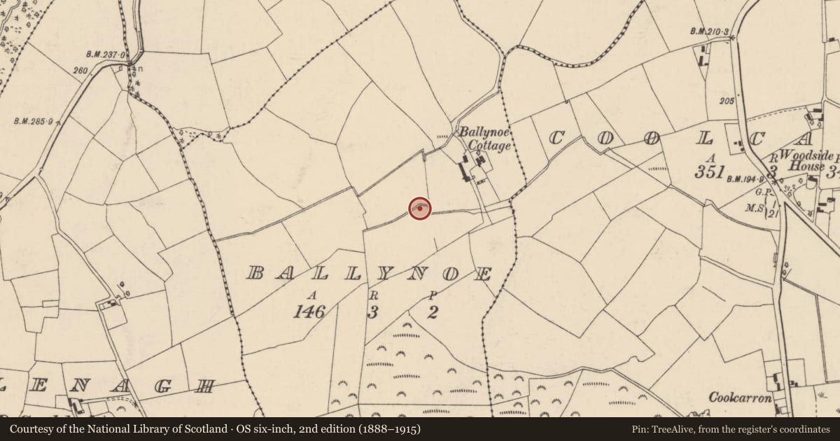 Ordnance Survey six-inch map, 2nd edition (1888–1915) covering the location of Ecclesiastical enclosure, Ballynoe, County Cork, with a pin at the register's coordinates