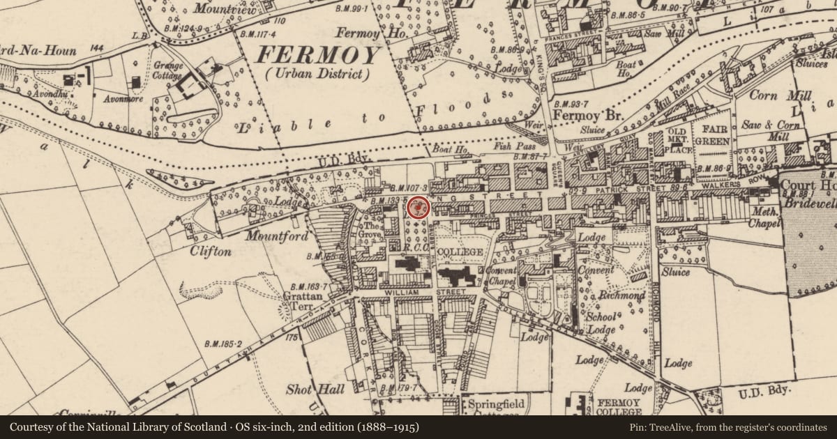 Ordnance Survey six-inch map, 2nd edition (1888–1915) covering the location of School, Fermoy, County Cork, with a pin at the register's coordinates