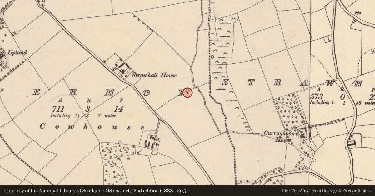 Ordnance Survey six-inch map, 2nd edition (1888–1915) covering the location of Fulacht fia, Fermoy, County Cork, with a pin at the register's coordinates