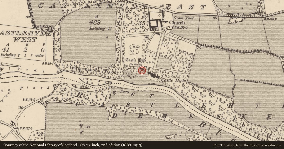 Ordnance Survey six-inch map, 2nd edition (1888–1915) covering the location of Sheela-na-gig, Castlehyde East, County Cork, with a pin at the register's coordinates