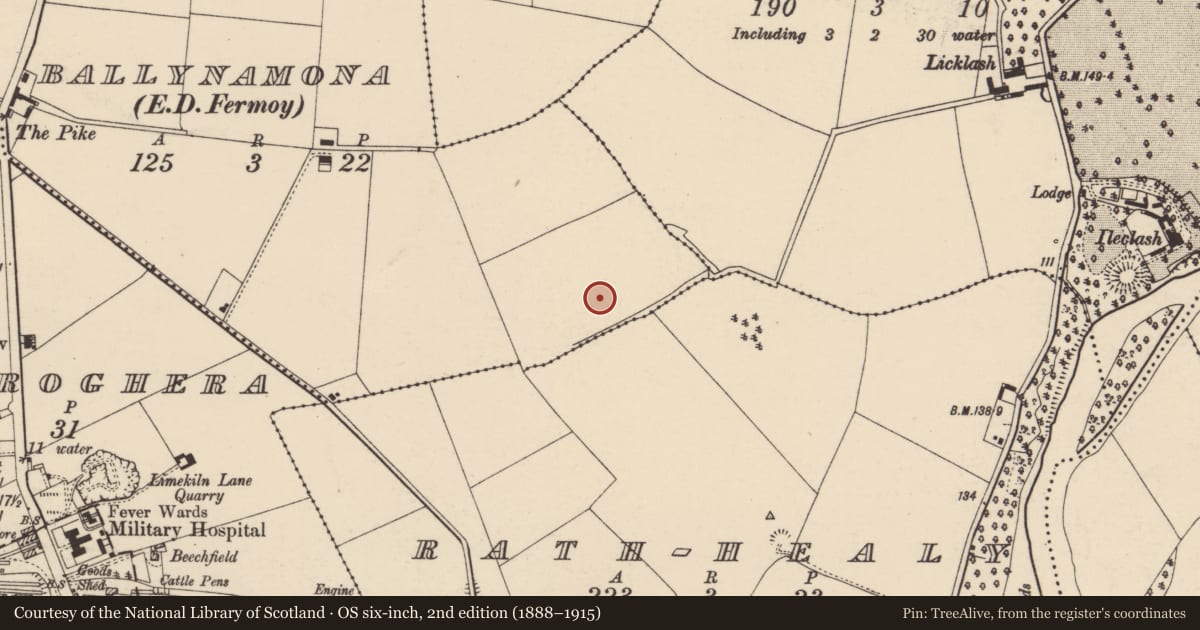 Ordnance Survey six-inch map, 2nd edition (1888–1915) covering the location of Kiln - corn-drying, Ballynamona (Condons and Clongibbon By., Clondulane Par.), County Cork, with a pin at the register's coordinates