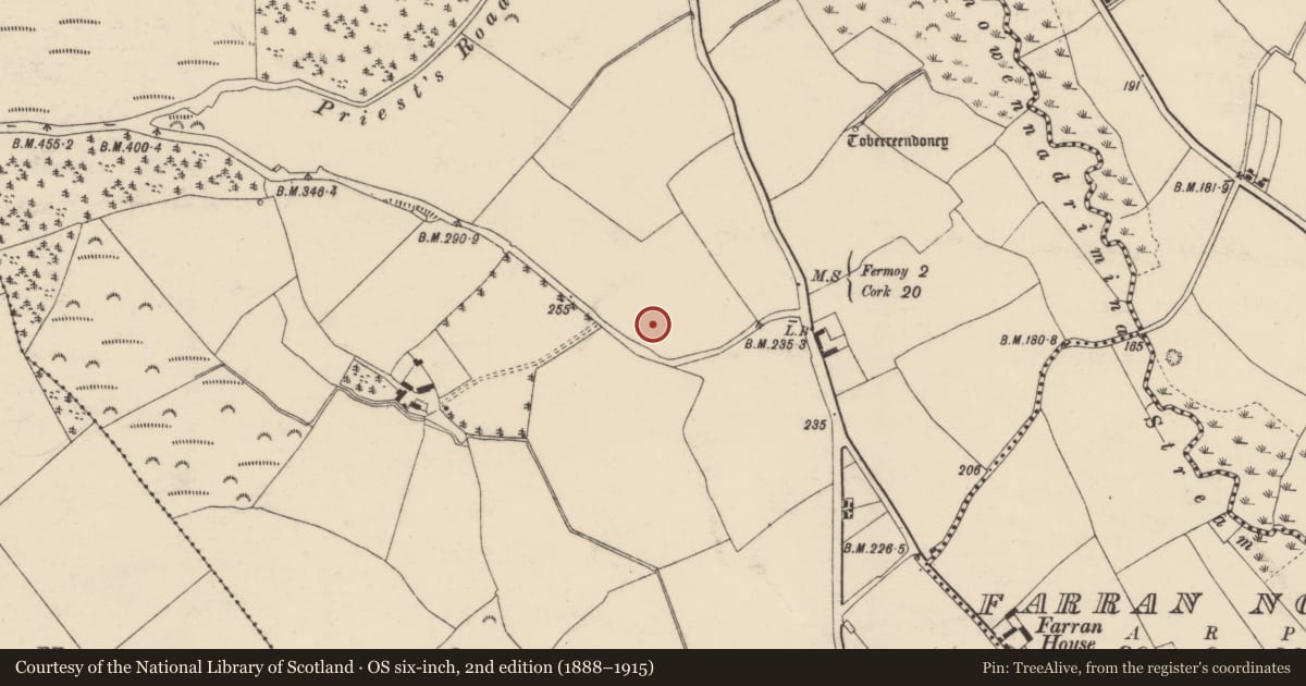 Ordnance Survey six-inch map, 2nd edition (1888–1915) covering the location of Charcoal-making site, Corrin, County Cork, with a pin at the register's coordinates