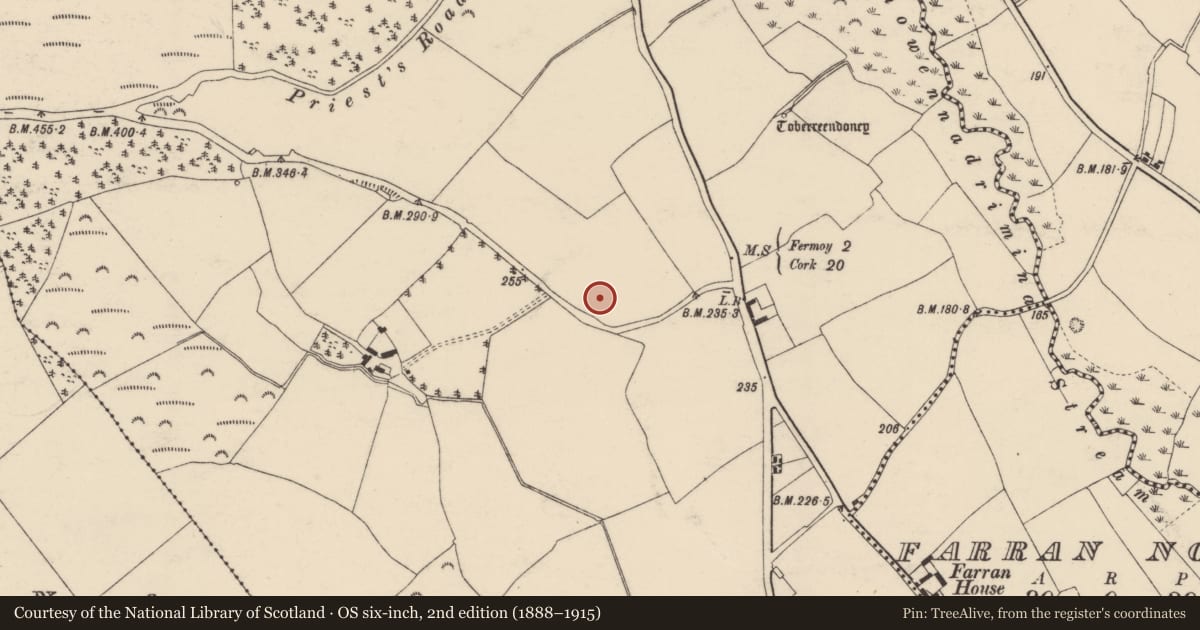 Ordnance Survey six-inch map, 2nd edition (1888–1915) covering the location of Hearth, Corrin, County Cork, with a pin at the register's coordinates
