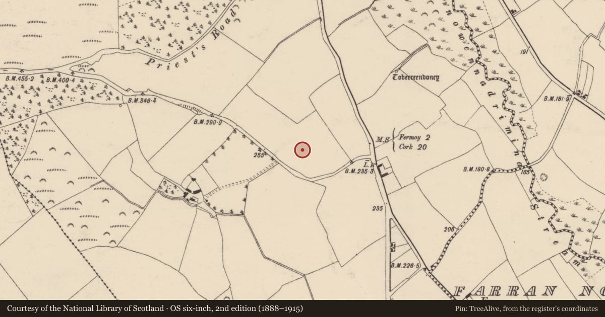 Ordnance Survey six-inch map, 2nd edition (1888–1915) covering the location of Hearth, Corrin, County Cork, with a pin at the register's coordinates