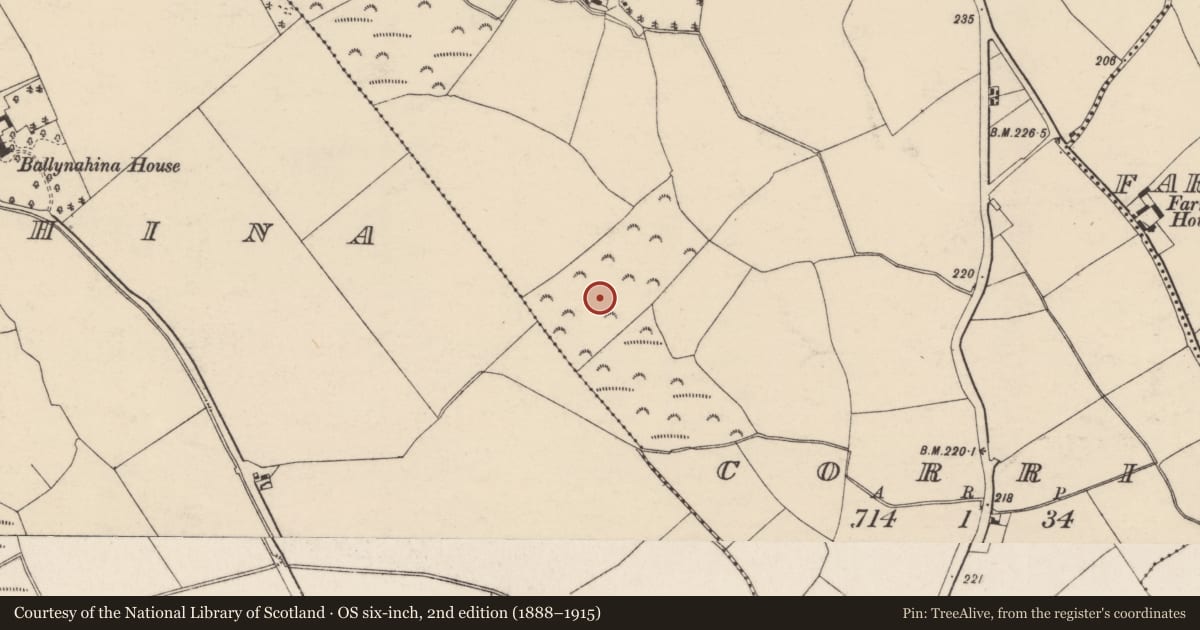 Ordnance Survey six-inch map, 2nd edition (1888–1915) covering the location of Excavation - miscellaneous, Corrin, County Cork, with a pin at the register's coordinates