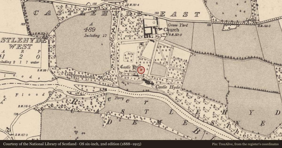Ordnance Survey six-inch map, 2nd edition (1888–1915) covering the location of Cist, Castlehyde East, County Cork, with a pin at the register's coordinates