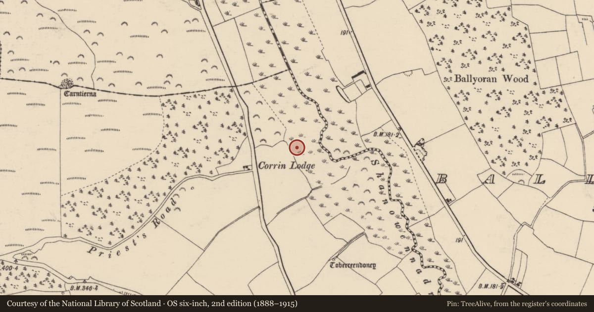 Ordnance Survey six-inch map, 2nd edition (1888–1915) covering the location of Fulacht fia, Corrin, County Cork, with a pin at the register's coordinates