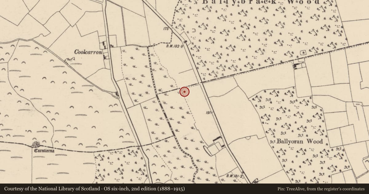 Ordnance Survey six-inch map, 2nd edition (1888–1915) covering the location of Burnt mound, Ballyoran, County Cork, with a pin at the register's coordinates