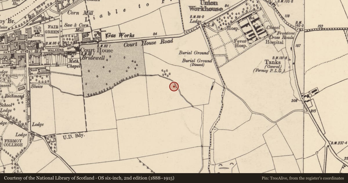 Ordnance Survey six-inch map, 2nd edition (1888–1915) covering the location of Fulacht fia, Fermoy, County Cork, with a pin at the register's coordinates