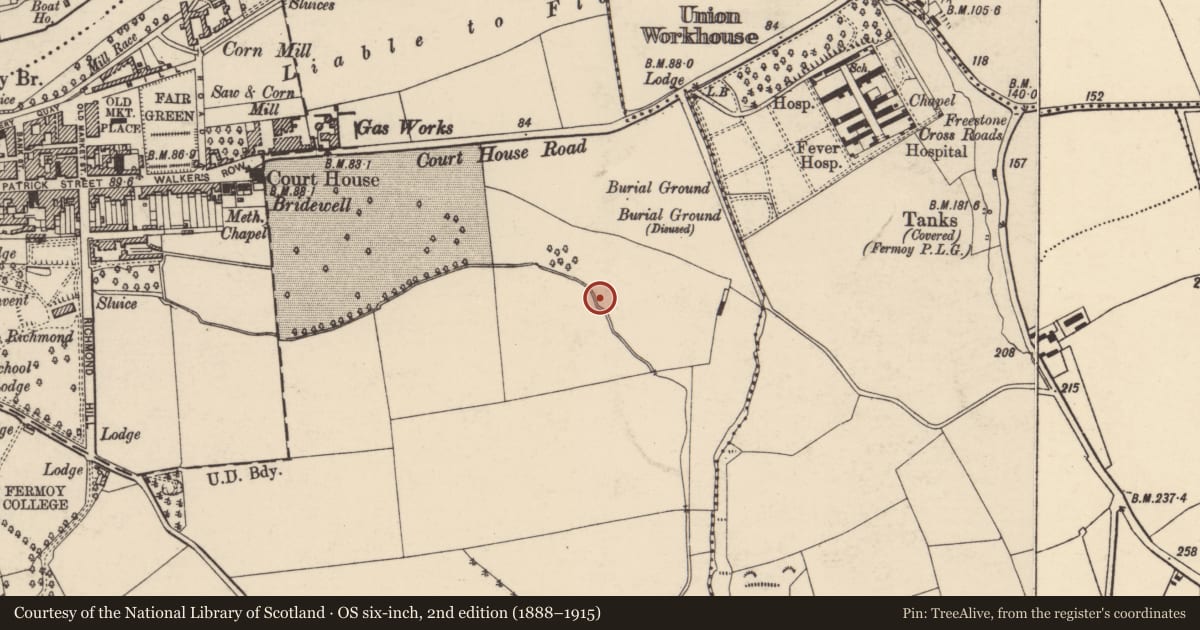 Ordnance Survey six-inch map, 2nd edition (1888–1915) covering the location of Fulacht fia, Fermoy, County Cork, with a pin at the register's coordinates