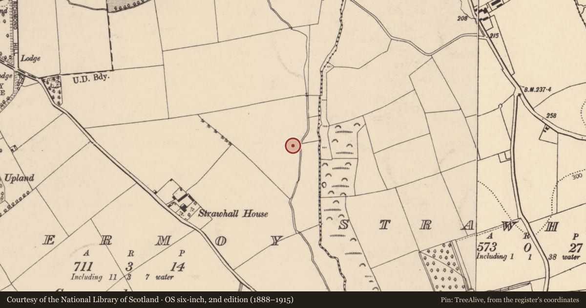 Ordnance Survey six-inch map, 2nd edition (1888–1915) covering the location of Habitation site, Fermoy, County Cork, with a pin at the register's coordinates