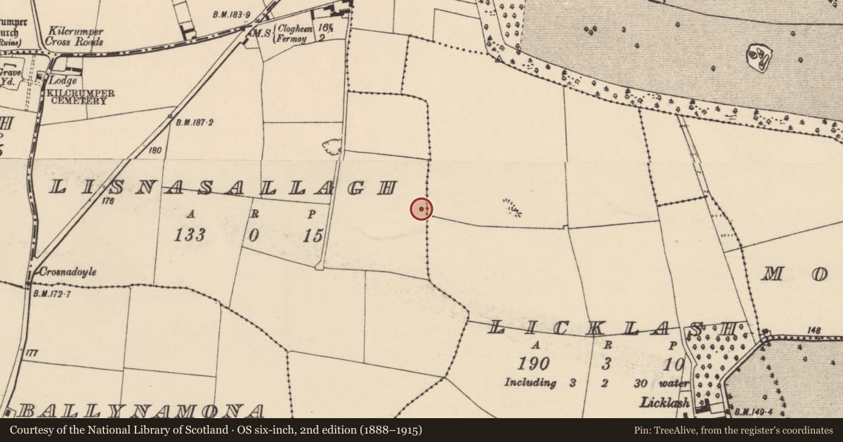 Ordnance Survey six-inch map, 2nd edition (1888–1915) covering the location of Excavation - miscellaneous, Lisnasallagh, County Cork, with a pin at the register's coordinates