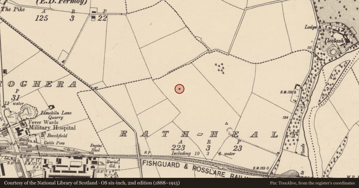 Ordnance Survey six-inch map, 2nd edition (1888–1915) covering the location of Excavation - miscellaneous, Rath-Healy, County Cork, with a pin at the register's coordinates