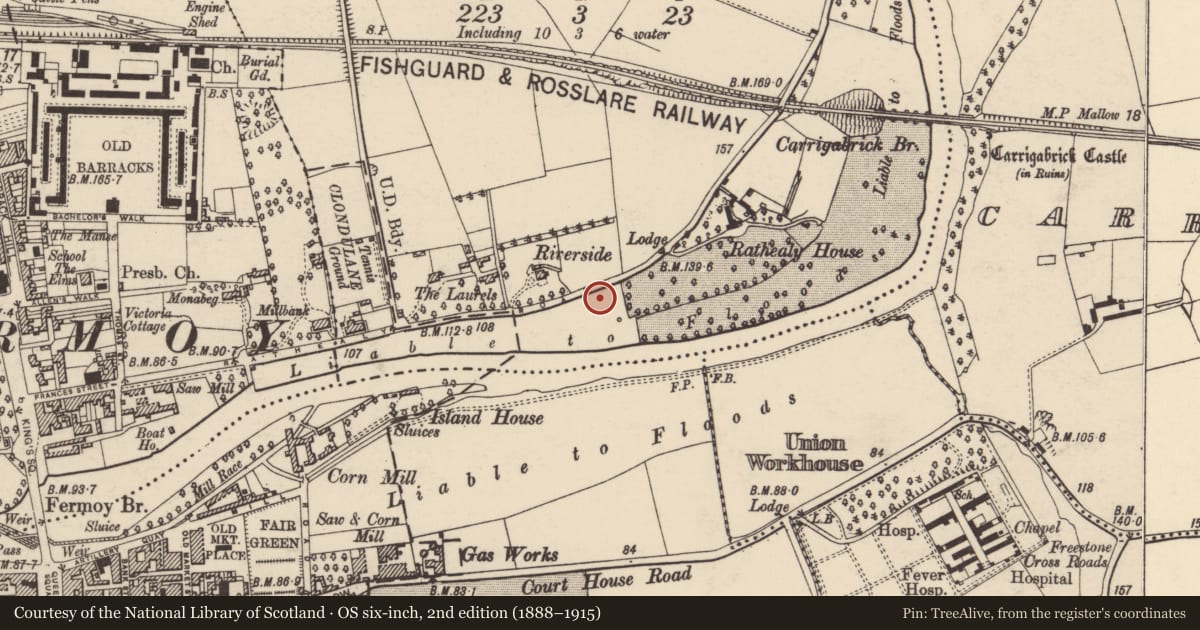 Ordnance Survey six-inch map, 2nd edition (1888–1915) covering the location of Excavation - miscellaneous, Licklash, County Cork, with a pin at the register's coordinates