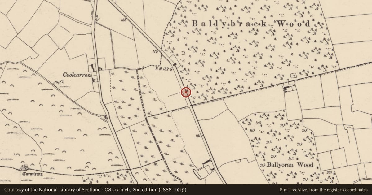 Ordnance Survey six-inch map, 2nd edition (1888–1915) covering the location of Fulacht fia, Fermoy, County Cork, with a pin at the register's coordinates