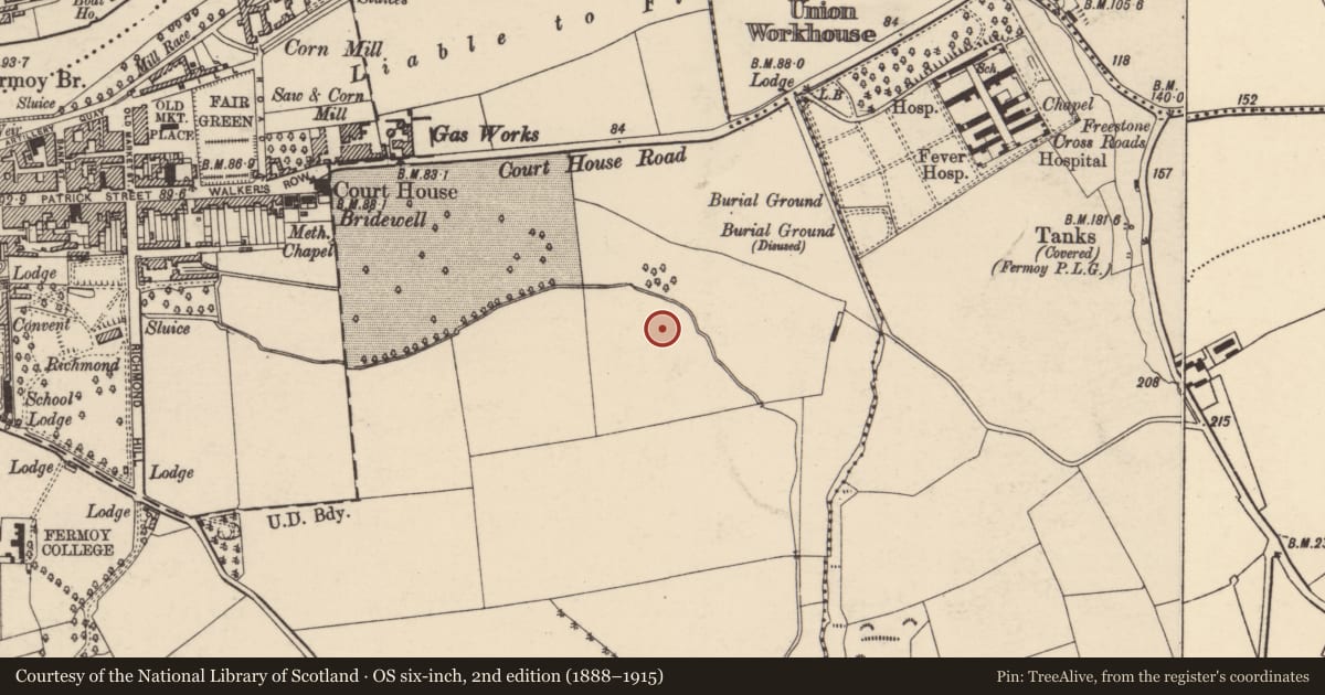 Ordnance Survey six-inch map, 2nd edition (1888–1915) covering the location of Fulacht fia, Fermoy, County Cork, with a pin at the register's coordinates