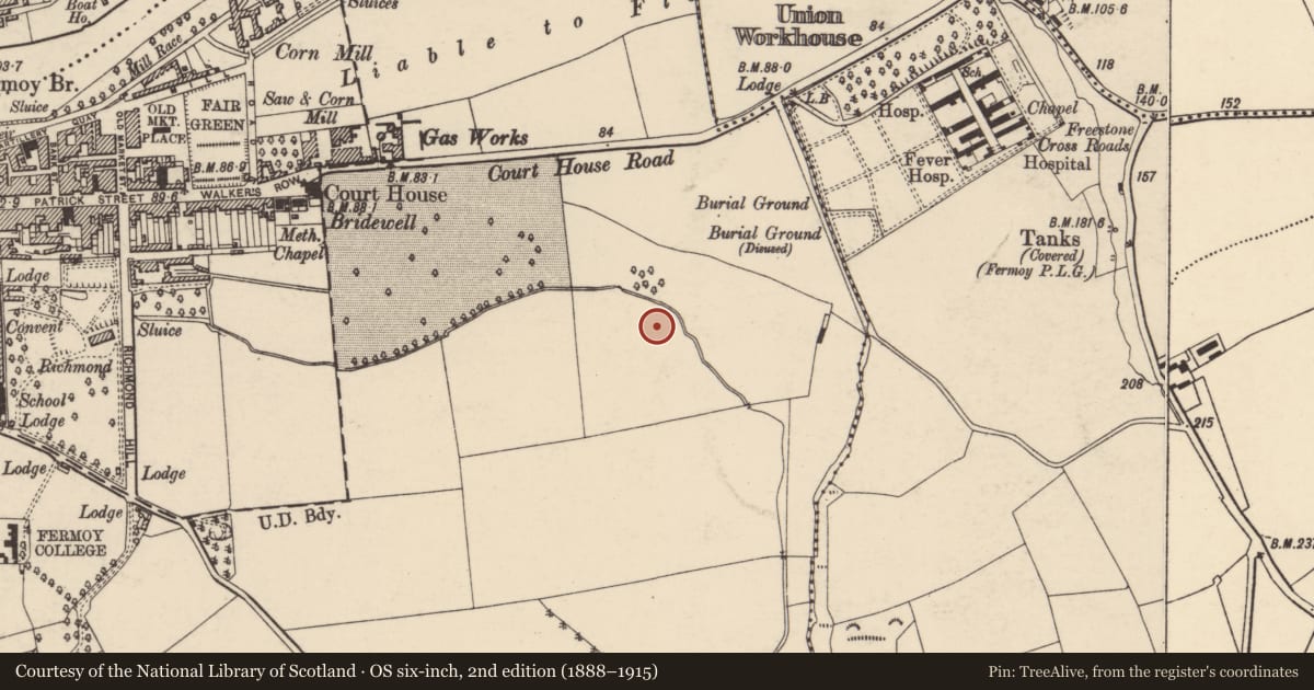 Ordnance Survey six-inch map, 2nd edition (1888–1915) covering the location of Excavation - miscellaneous, Fermoy, County Cork, with a pin at the register's coordinates