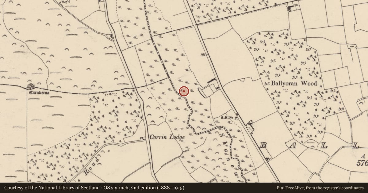 Ordnance Survey six-inch map, 2nd edition (1888–1915) covering the location of Road - unclassified togher, Ballyoran, County Cork, with a pin at the register's coordinates