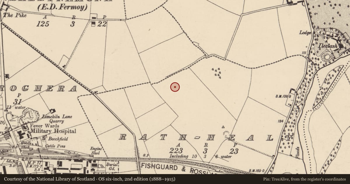 Ordnance Survey six-inch map, 2nd edition (1888–1915) covering the location of Field boundary, Rath-Healy, County Cork, with a pin at the register's coordinates