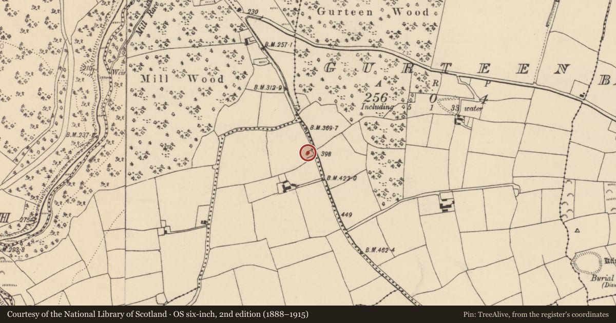 Ordnance Survey six-inch map, 2nd edition (1888–1915) covering the location of Burnt mound, Lisheen, County Cork, with a pin at the register's coordinates