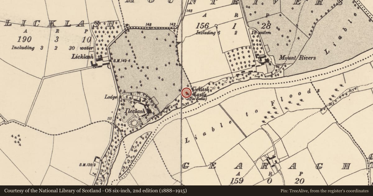 Ordnance Survey six-inch map, 2nd edition (1888–1915) covering the location of Castle - hall-house, Licklash, County Cork, with a pin at the register's coordinates