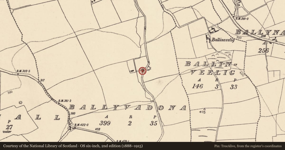 Ordnance Survey six-inch map, 2nd edition (1888–1915) covering the location of Kiln - lime, Ballyvadona, County Cork, with a pin at the register's coordinates