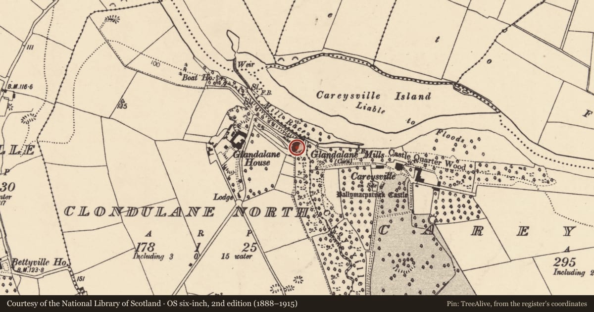 Ordnance Survey six-inch map, 2nd edition (1888–1915) covering the location of Mill - corn, Clondulane North, County Cork, with a pin at the register's coordinates