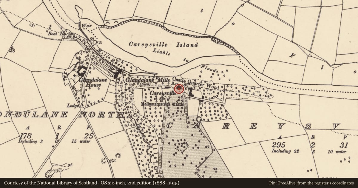 Ordnance Survey six-inch map, 2nd edition (1888–1915) covering the location of Country house, Careysville, County Cork, with a pin at the register's coordinates